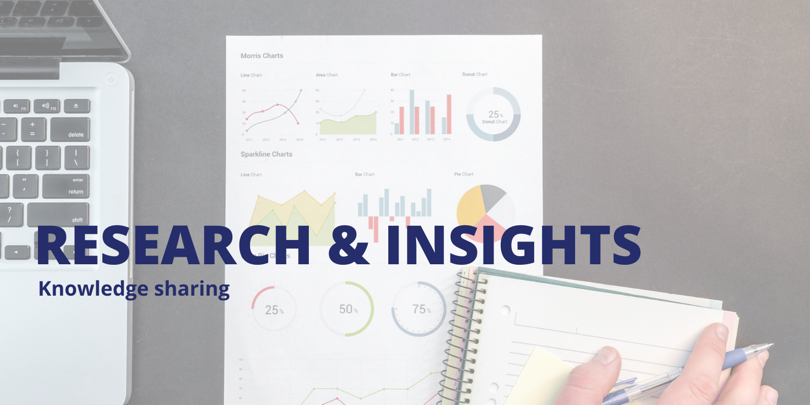 research and insights header